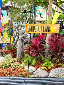 Liguanea Art Festival 2006